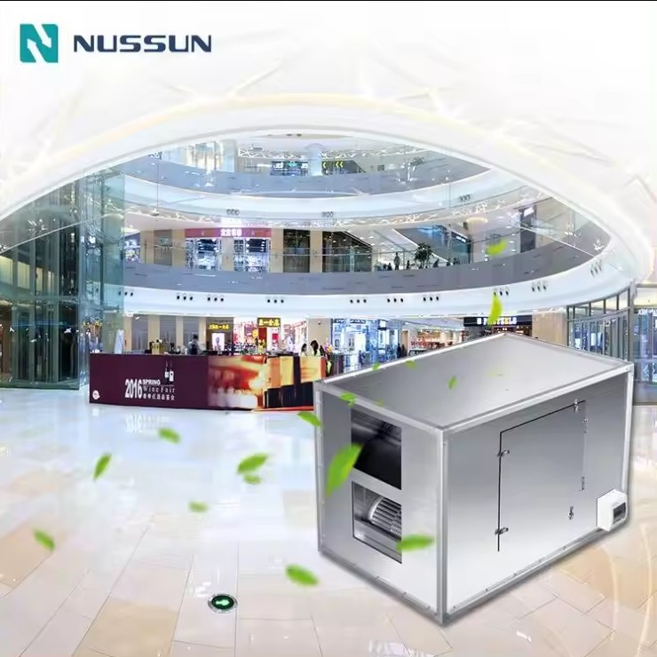 Nussun Commercial Use 4000m3/h Strong Wind Fire Prevention Large Air Volume Type Energy Recovery Ventilation