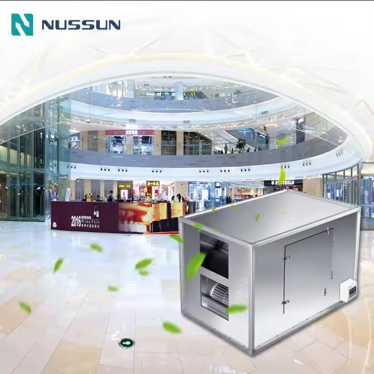 Nussun High Efficiency 6000m3/H Air Volume Ceiling Mounted Heating Commercial HRV ERV Energy Recovery Ventilation