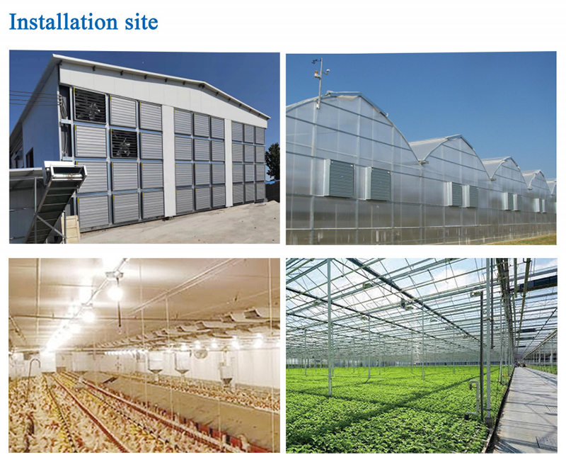 Negative Pressure Exhaust Fan Push Pull Ventilation Shutter Door Exhaust Fan for Greenhouse Poultry Farm Livestock